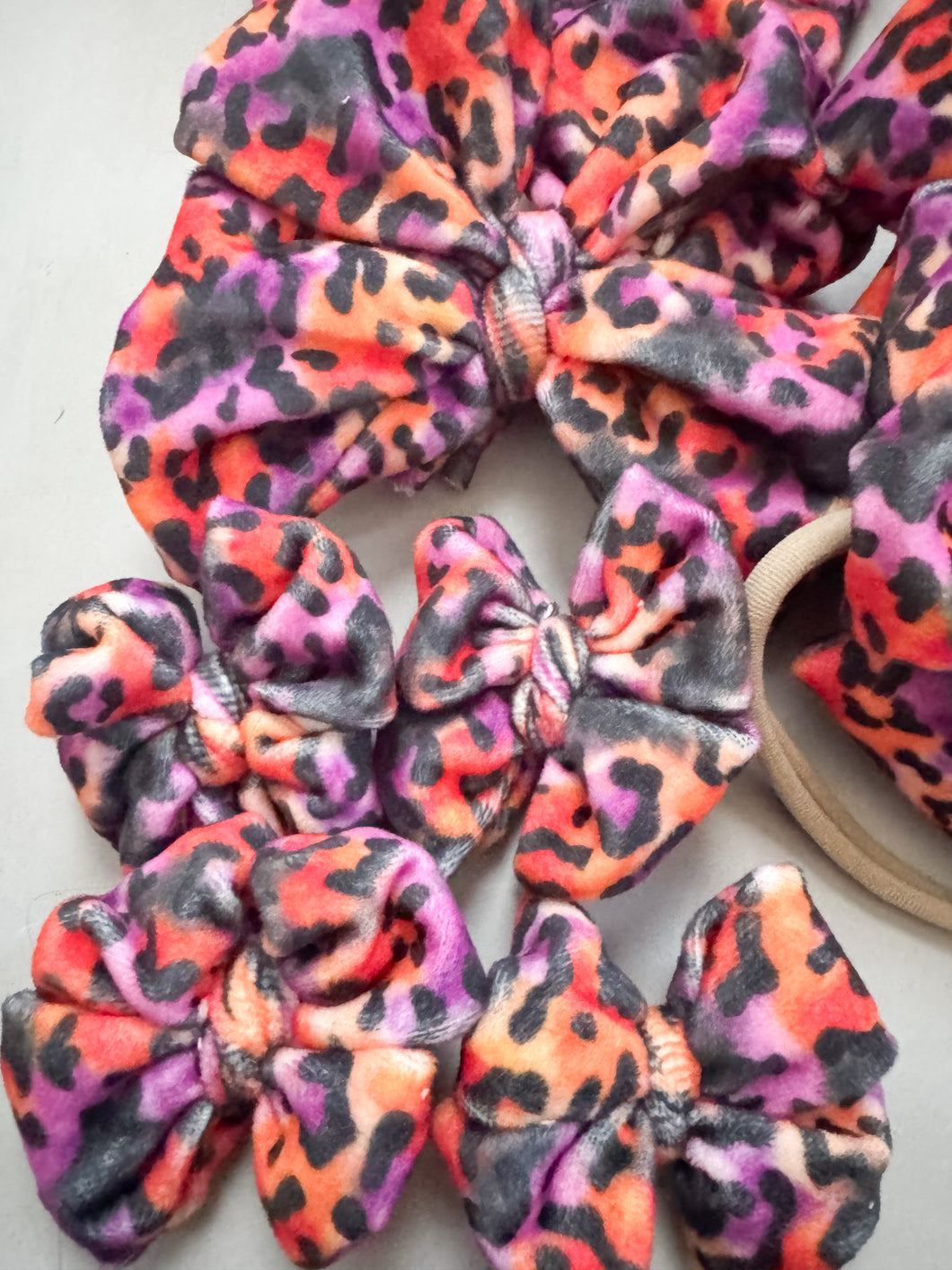 Leopard Haunt